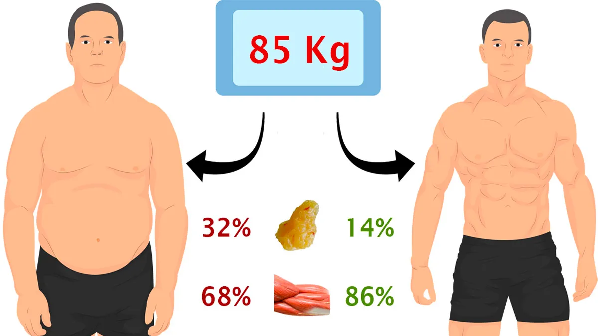 Comparação músculos vs gordura na composição corporal